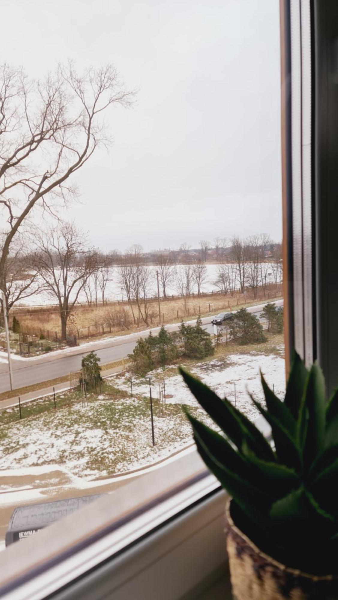 Apartament 31 Z Sauna Rowery, Spacery W Dolinie Baryczy - 5D Apartamenty Milicz Buitenkant foto